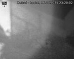 Capi_Dubne_20250616_232002.jpg