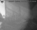 Capi_Dubne_20250616_233502.jpg