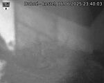 Capi_Dubne_20250616_234003.jpg