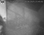 Capi_Dubne_20250616_234502.jpg