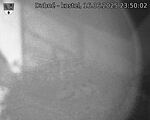 Capi_Dubne_20250616_235002.jpg