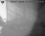 Capi_Dubne_20250617_000002.jpg