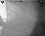 Capi_Dubne_20250617_000502.jpg