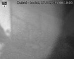Capi_Dubne_20250617_001003.jpg