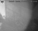 Capi_Dubne_20250617_001502.jpg