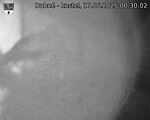 Capi_Dubne_20250617_003002.jpg