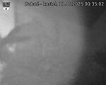 Capi_Dubne_20250617_003502.jpg