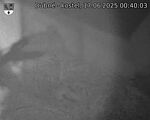 Capi_Dubne_20250617_004003.jpg
