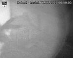 Capi_Dubne_20250617_005003.jpg