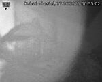 Capi_Dubne_20250617_005502.jpg