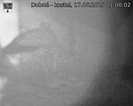 Capi_Dubne_20250617_010002.jpg