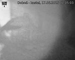 Capi_Dubne_20250617_010503.jpg