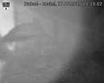 Capi_Dubne_20250617_011002.jpg