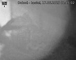 Capi_Dubne_20250617_011502.jpg