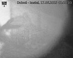 Capi_Dubne_20250617_012003.jpg