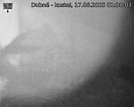 Capi_Dubne_20250617_013003.jpg