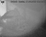 Capi_Dubne_20250617_014002.jpg