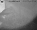 Capi_Dubne_20250617_014503.jpg