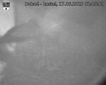 Capi_Dubne_20250617_020503.jpg