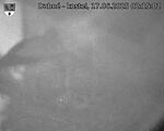 Capi_Dubne_20250617_021502.jpg