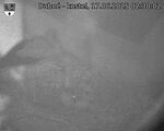 Capi_Dubne_20250617_023002.jpg