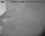 Capi_Dubne_20250617_023503.jpg