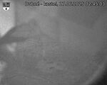 Capi_Dubne_20250617_024503.jpg