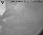 Capi_Dubne_20250617_025502.jpg