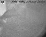 Capi_Dubne_20250617_030003.jpg