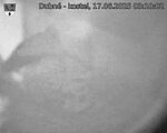 Capi_Dubne_20250617_031002.jpg