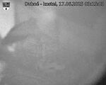 Capi_Dubne_20250617_031503.jpg