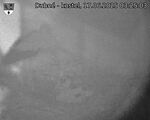 Capi_Dubne_20250617_032503.jpg