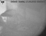 Capi_Dubne_20250617_033502.jpg