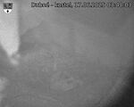 Capi_Dubne_20250617_034003.jpg