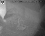 Capi_Dubne_20250617_040002.jpg