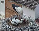 Capi_Dubne_20250617_150504.jpg