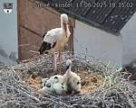 Capi_Dubne_20250617_183502.jpg