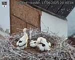 Capi_Dubne_20250617_204004.jpg