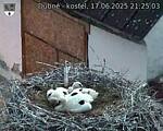 Capi_Dubne_20250617_212503.jpg