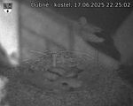Capi_Dubne_20250617_222502.jpg