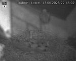 Capi_Dubne_20250617_224502.jpg