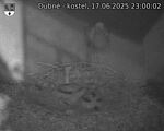 Capi_Dubne_20250617_230002.jpg