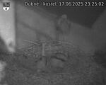 Capi_Dubne_20250617_232502.jpg