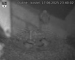 Capi_Dubne_20250617_234002.jpg