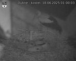 Capi_Dubne_20250618_010003.jpg
