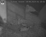 Capi_Dubne_20250618_011002.jpg