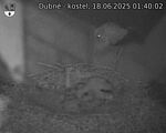 Capi_Dubne_20250618_014002.jpg