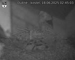 Capi_Dubne_20250618_024503.jpg