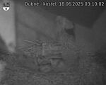 Capi_Dubne_20250618_031002.jpg