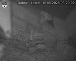 Capi_Dubne_20250618_032002.jpg